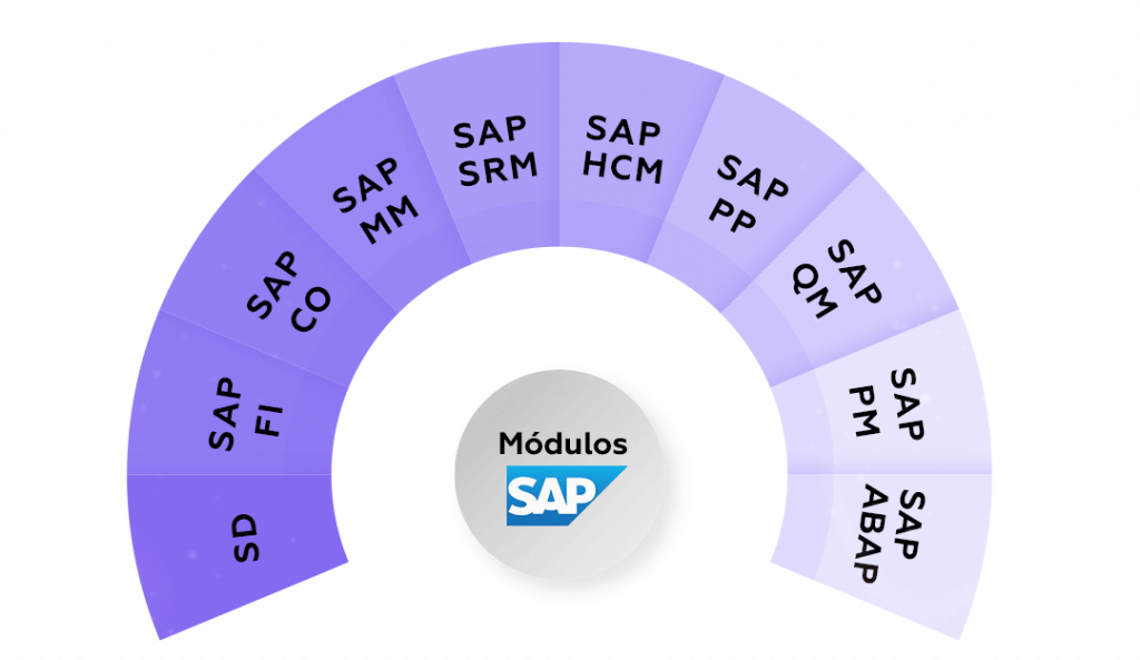 Todos os módulos SAP 
SAP SD
SAP FI
SAP CO
SAP MM
SAP SRM
SAP HCM
SAP PP
SAP QM
SAP PM
SAP ABAP