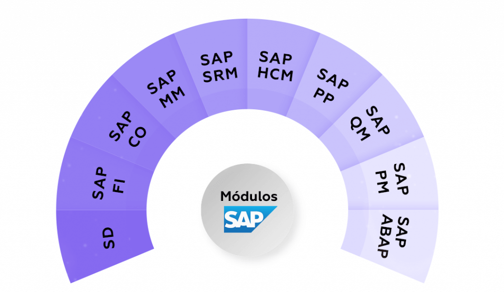 Todos los módulos de SAP SAP SDSAP FISAP COSAP MMSAP SRMSAP HCMSAP PPSAP QMSAP PMSAP ABAP